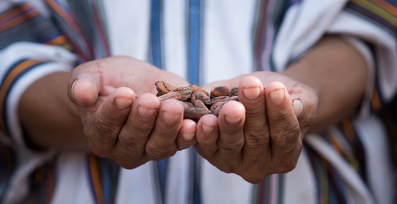 Man in striped shirt with arms outstretched holding cacao 