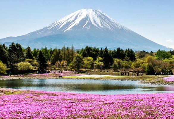 Fuji kalns